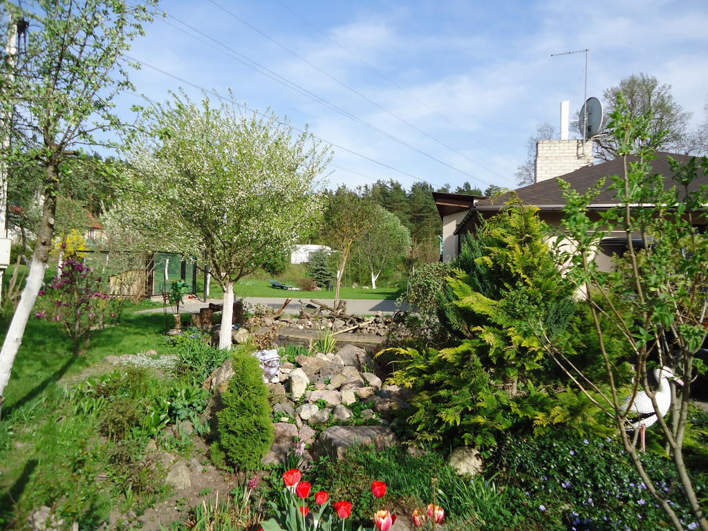 Homestay Roja Wilna Exterior foto